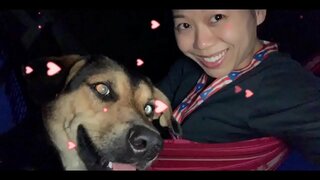 EL GOBIERNO ES TU ENEMIGO, y ELLOS LE k. TODOS NOSOTROS SI USTED NO TOMA ACCIÓN AHORA! El DERROCAMIENTO de SUS GOBIERNOS y de la LUZ de seguridad de TODOS los 5G TORRES AHORA ANTES de k.S TODOS NOSOTROS!!